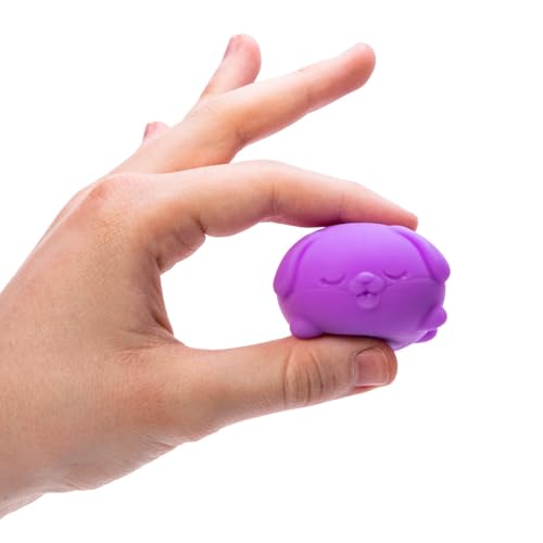 NeeDoh Teenie Funky Pups - Groovy Multi Squeeze Toy - Schylling